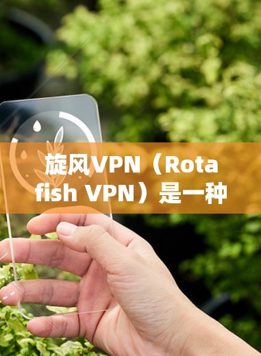 旋风VPN（Rotafish VPN）是一种基于密码学的VPN协议，用户通过密码设置访问VPN节点。以下是旋风VPN的功能测试要点和测试方法
