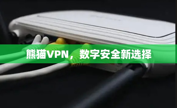 熊猫VPN，数字安全新选择