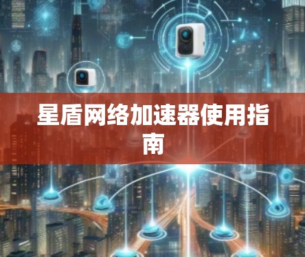星盾网络加速器使用指南
