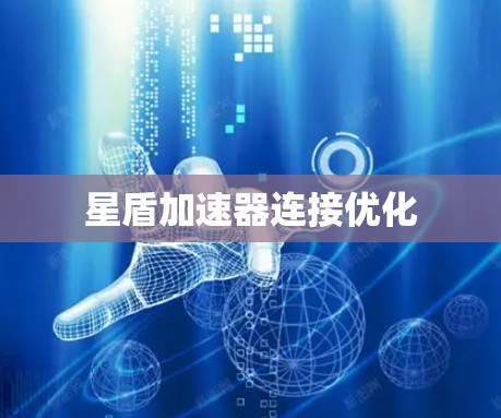 星盾加速器连接优化