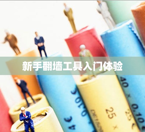 新手翻墙工具入门体验
