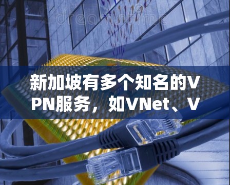 新加坡有多个知名的VPN服务，如VNet、VXD、VXP、VXeX和VXdX等。以下是关于新加坡VPN连接工具的详细介绍