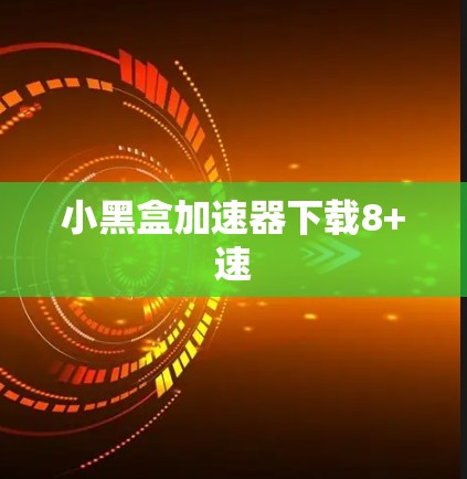 小黑盒加速器下载8+速