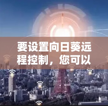 要设置向日葵远程控制，您可以按照以下步骤操作