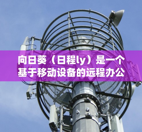向日葵（日程ly）是一个基于移动设备的远程办公工具，通常用于管理服务器、文件夹、日程计划、任务、会议日程等。向日葵支持远程访问，允许用户从任何设备通过网络访问向日葵软件，包括服务器、文件夹、文件等