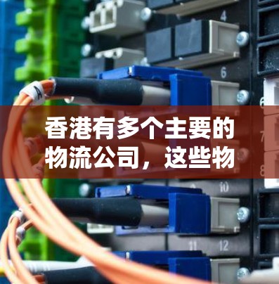 香港有多个主要的物流公司，这些物流公司通常设有专门的运输节点，以确保货物能够准确地从一个地方运输到另一个地方。以下是一些香港的主要物流公司及其服务范围