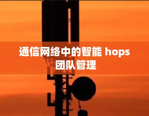 通信网络中的智能 hops 团队管理