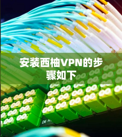 安装西柚VPN的步骤如下