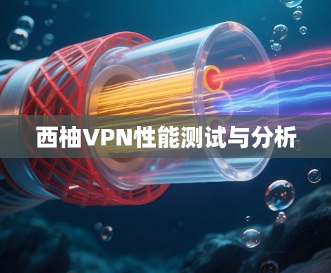 西柚VPN性能测试与分析