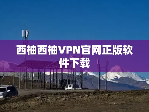 西柚西柚VPN官网正版软件下载