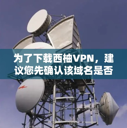 为了下载西柚VPN，建议您先确认该域名是否为合法的VPN网站。如果找不到官方下载地址，可以尝试以下步骤