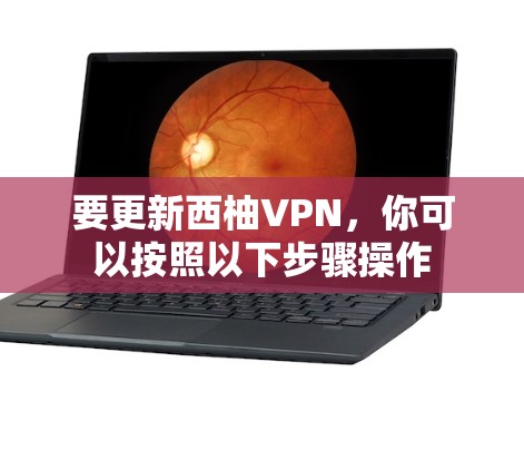 要更新西柚VPN，你可以按照以下步骤操作