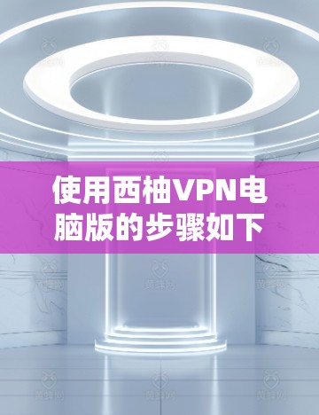 使用西柚VPN电脑版的步骤如下