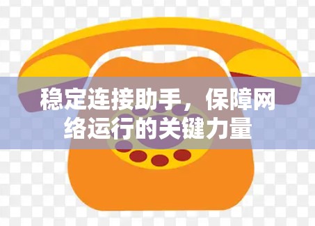 稳定连接助手，保障网络运行的关键力量
