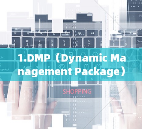 1.DMP（Dynamic Management Package）