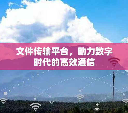 文件传输平台，助力数字时代的高效通信