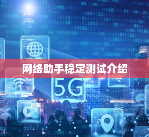 网络助手稳定测试介绍