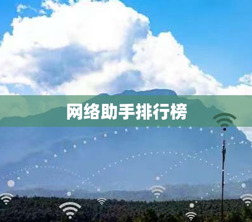 网络助手排行榜
