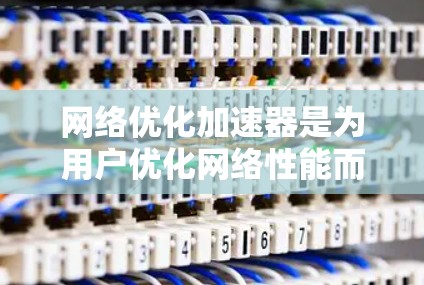 网络优化加速器是为用户优化网络性能而开发的工具，帮助减少延迟、防止网络攻击并保护数据安全。以下是对这些工具的详细总结