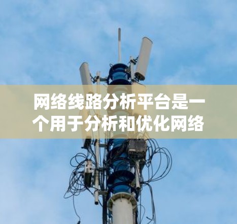 网络线路分析平台是一个用于分析和优化网络结构的软件工具，旨在帮助用户设计和管理网络系统。以下是对该平台的详细介绍