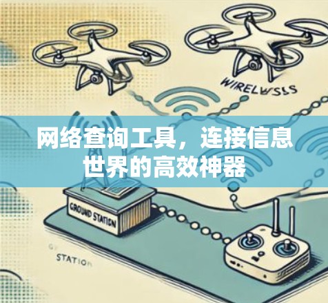 网络查询工具，连接信息世界的高效神器