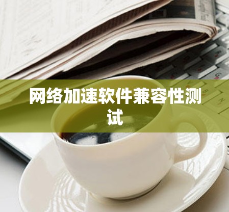 网络加速软件兼容性测试