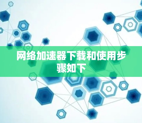 网络加速器下载和使用步骤如下