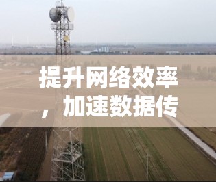 提升网络效率，加速数据传输，网络加速器试用体验