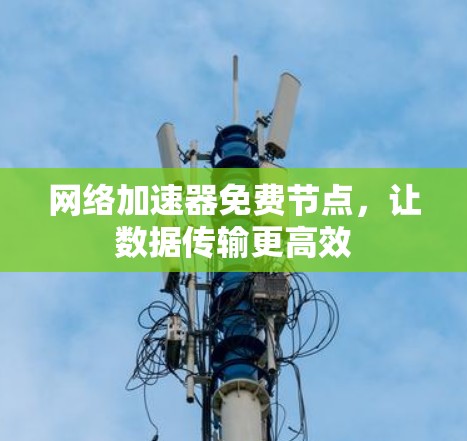 网络加速器免费节点，让数据传输更高效