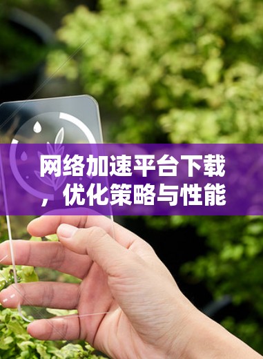 网络加速平台下载，优化策略与性能提升