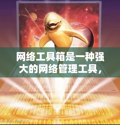 网络工具箱是一种强大的网络管理工具，帮助用户高效管理网络设备。以下是使用网络工具箱的指南