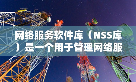网络服务软件库（NSS库）是一个用于管理网络服务的工具，主要用于维护ITM（网络传输）和ICMP（应用层）等类型的网络服务，确保它们的正常运行和稳定性。以下是其主要功能和运作方式的详细说明
