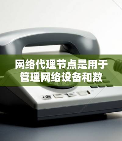 网络代理节点是用于管理网络设备和数据的高级工具，主要包括路由器、交换机等。以下是详细的使用方法