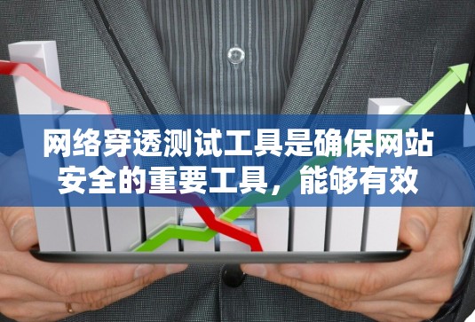 网络穿透测试工具是确保网站安全的重要工具，能够有效识别并打击恶意攻击。以下是对这些工具的详细总结