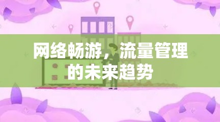 网络畅游，流量管理的未来趋势