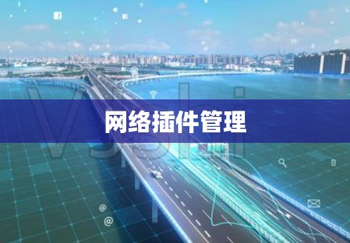 网络插件管理