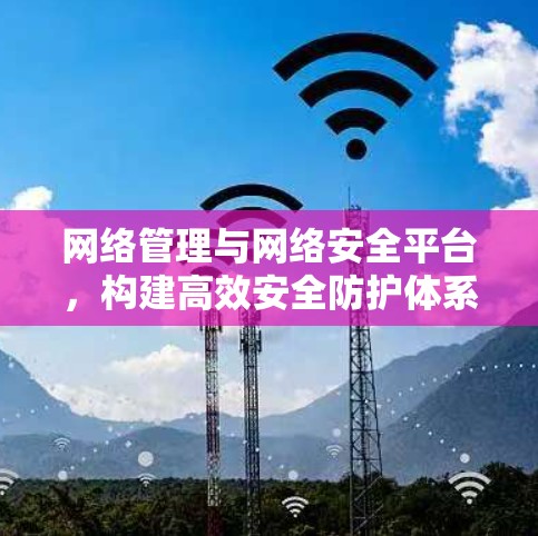 网络管理与网络安全平台，构建高效安全防护体系