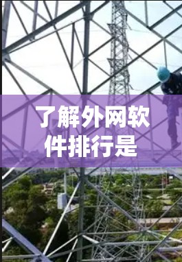 了解外网软件排行是一个系统工程，涉及多方面的知识和技能。以下是对软件排行的详细分析和总结
