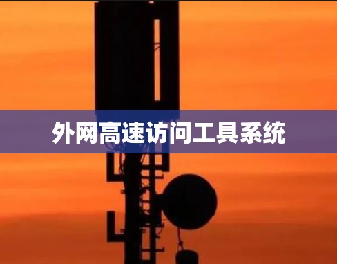 外网高速访问工具系统