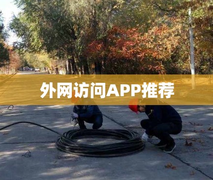 外网访问APP推荐