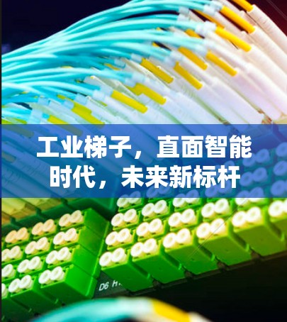 工业梯子，直面智能时代，未来新标杆