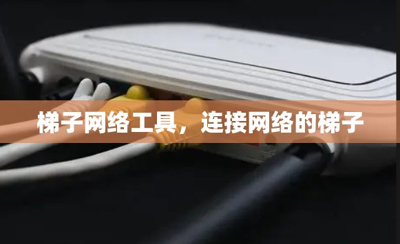 梯子网络工具，连接网络的梯子