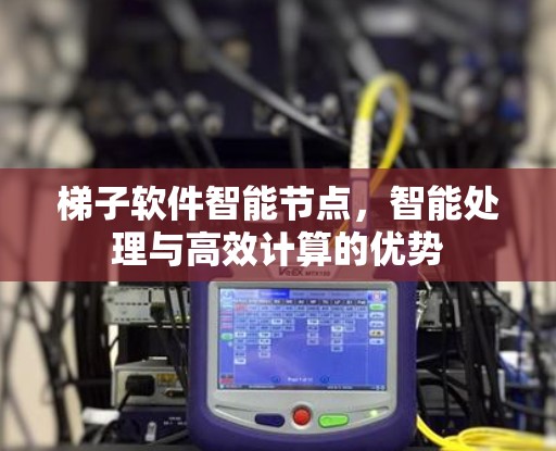 梯子软件智能节点，智能处理与高效计算的优势