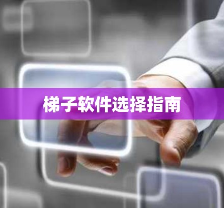 梯子软件选择指南