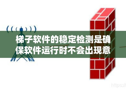 梯子软件的稳定检测是确保软件运行时不会出现意外情况的关键步骤。以下是详细的步骤和解释，涵盖定期检查、扫描软件、系统设置和防火墙的管理