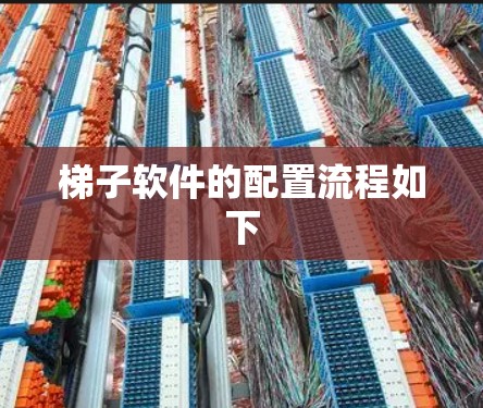 梯子软件的配置流程如下