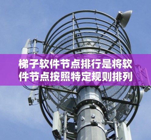 梯子软件节点排行是将软件节点按照特定规则排列，以优化软件管理、安装和维护流程。以下是对排定顺序的详细分析和应用