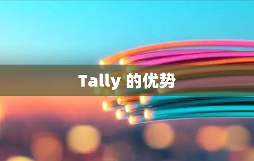 Tally 的优势