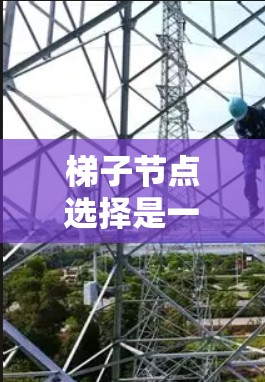 梯子节点选择是一种在图论中常见的问题，涉及在图中选择特定的节点或路径满足特定约束条件。以下是对梯子节点选择的详细分析