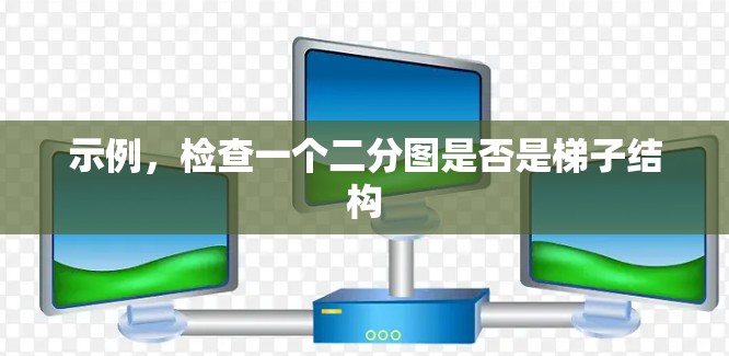 示例，检查一个二分图是否是梯子结构